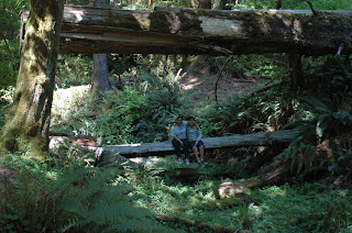 Day trip to the Hoh Rain Forest