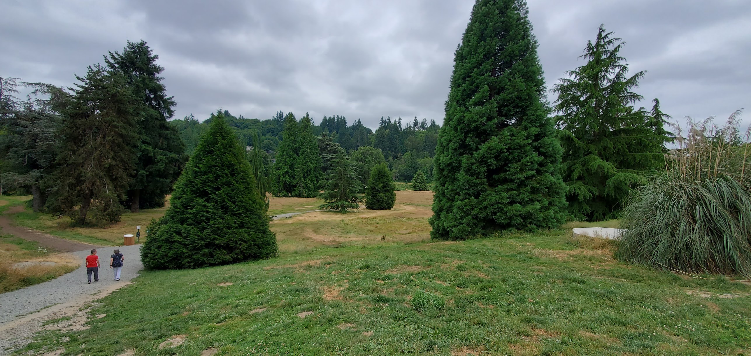 A LOOK AT THE OLD WAYNE GOLF COURSE
