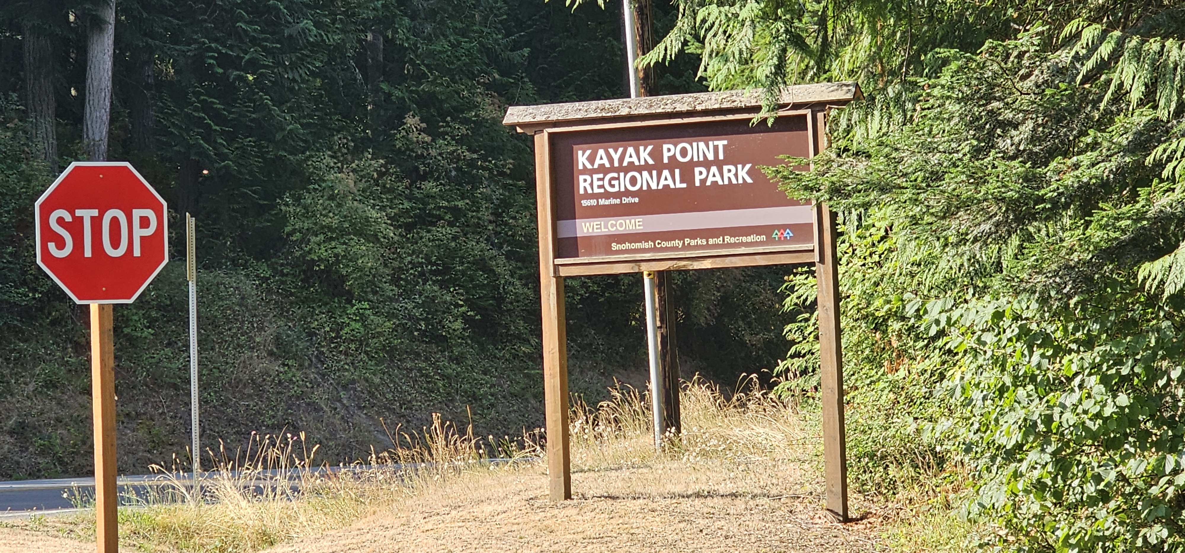 The Washington I really like, at Kayak Point.
