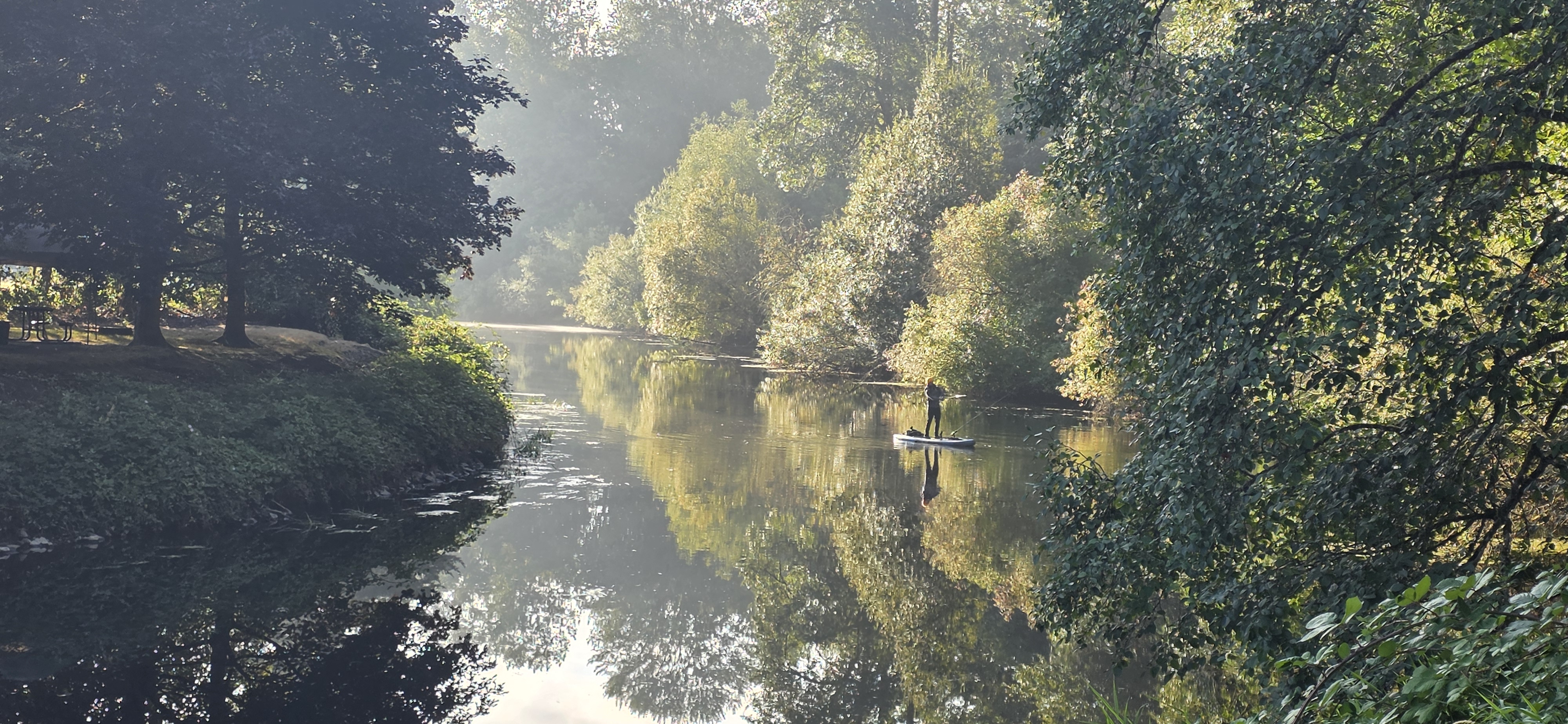 Abstracts Today; River fishing photo, Boxes of paper to shed, Monkey puzzle trees, Carol Burnett program